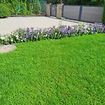 Apartament Brenner