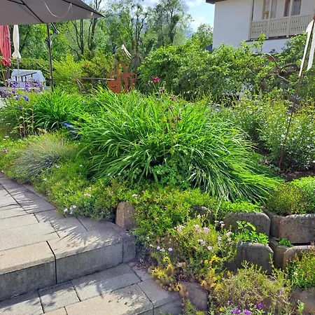 Brenner * 브루크안데어무어