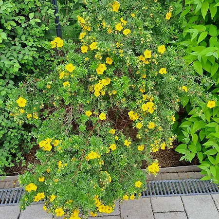 Lägenhet Brenner Bruck an der Mur