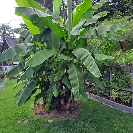 Brenner 아파트 브루크안데어무어