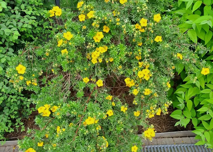 Apartman Brenner Bruck an der Mur