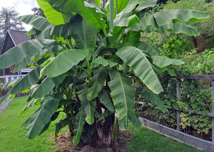 Brenner Apartman Bruck an der Mur